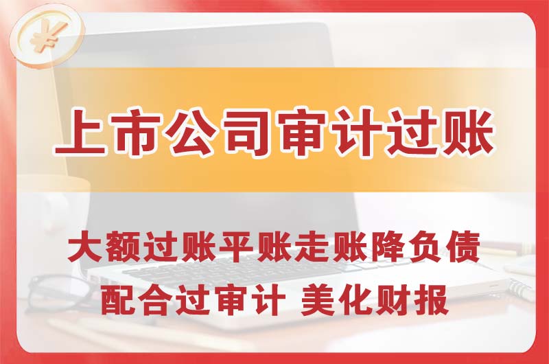 韶山上市公司审计过账